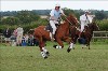 UKPA  NC Sat_1176